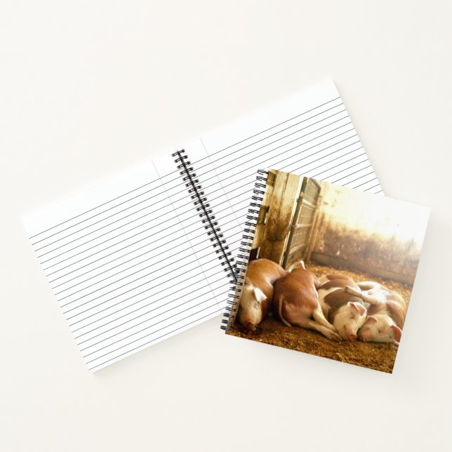Getty Images | Snuggling Pigs Notebook (Inside)