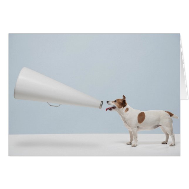Getty Images | Speaking Dog (Front Horizontal)