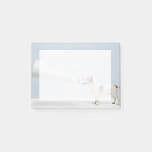 Getty Images   Speaking Dog Post-it Notes