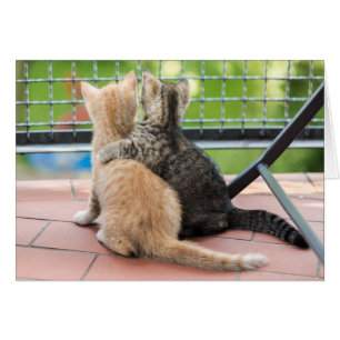 Getty Images Two Kittens on a Balcony