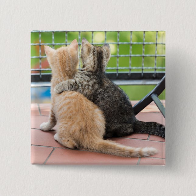 Getty Images | Two Kittens on a Balcony 2 Inch Square Button (Front)