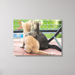 Getty Images Two Kittens on a Balcony Canvas Print