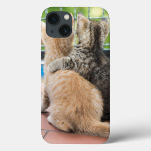 Getty Images Two Kittens on a Balcony iPhone 13 Case