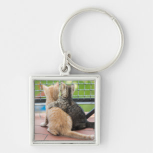 Getty Images Two Kittens on a Balcony Keychain