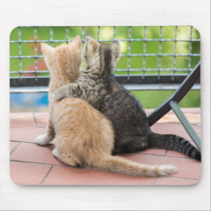 Getty Images   Two Kittens on a Balcony Mouse Pad