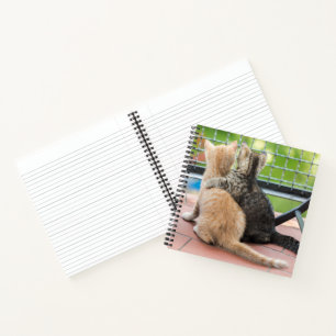 Getty Images Two Kittens on a Balcony Notebook