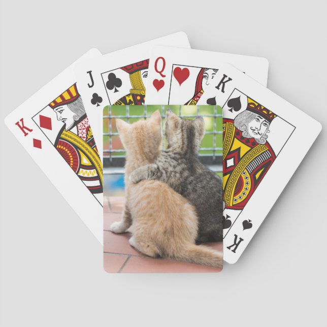 Getty Images | Two Kittens on a Balcony Playing Cards (Back)