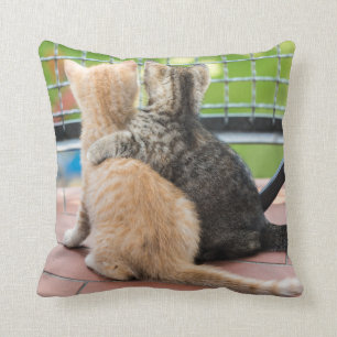 Getty Images Two Kittens on a Balcony Throw Pillow