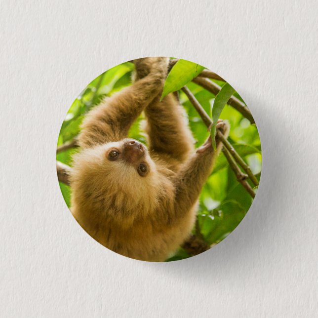 Getty Images | Upside Down Sloth 1 Inch Round Button (Front)