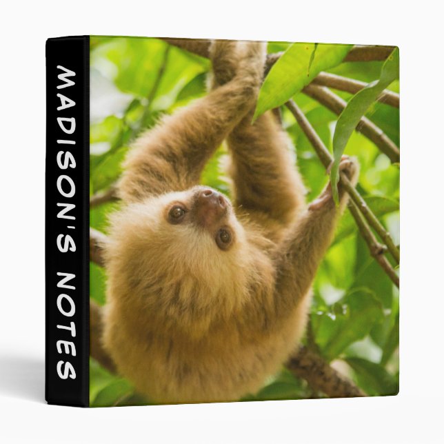 Getty Images | Upside Down Sloth Binder (Front/Spine)