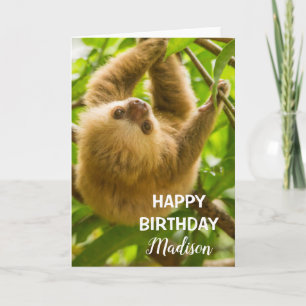 Getty Images   Upside Down Sloth Card