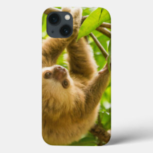 Getty Images   Upside Down Sloth iPhone 13 Case