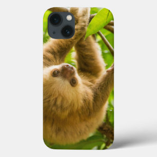Getty Images   Upside Down Sloth iPhone 13 Case