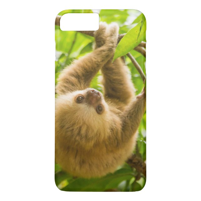 Getty Images | Upside Down Sloth Case-Mate iPhone Case (Back)