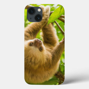 Getty Images   Upside Down Sloth iPhone 13 Case