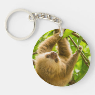 Getty Images   Upside Down Sloth Keychain