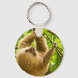 Getty Images   Upside Down Sloth Keychain