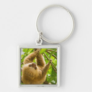 Getty Images   Upside Down Sloth Keychain