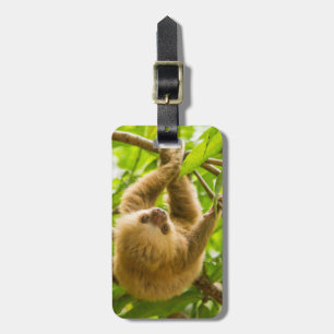 Getty Images Upside Down Sloth Luggage Tag