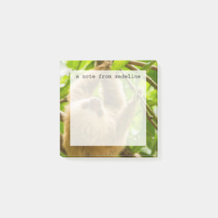 Getty Images   Upside Down Sloth Post-it Notes