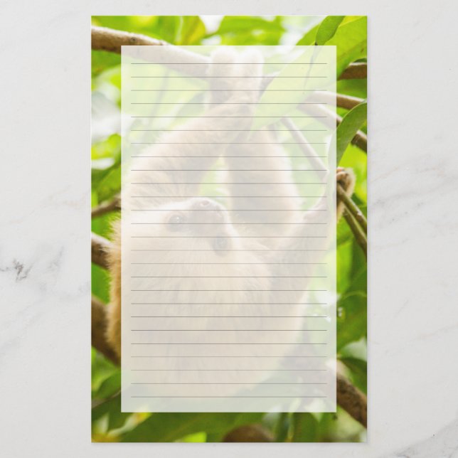 Getty Images | Upside Down Sloth Stationery (Front)