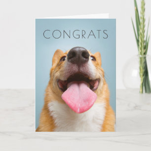 Getty Images   Very Happy Corgi Card