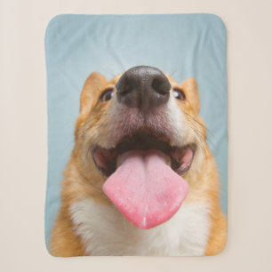 Getty Images   Very Happy Corgi Sherpa Blanket