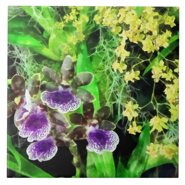 Geyser Jamie and Golden Fantasy Orchids Tile (Front)