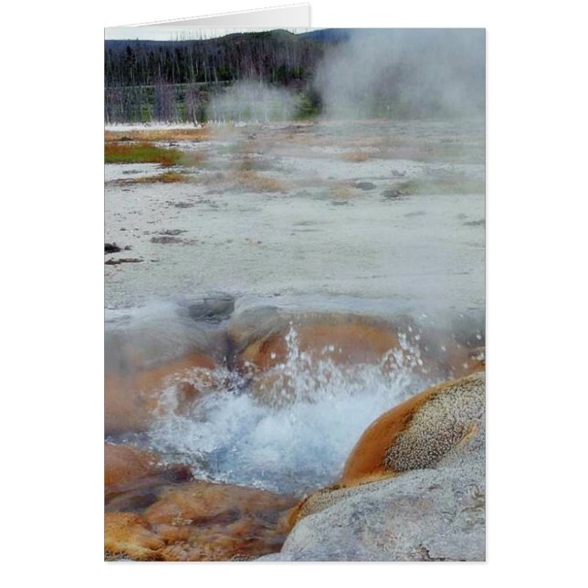 Geysers Steam Boiling Yellowstone (Front)