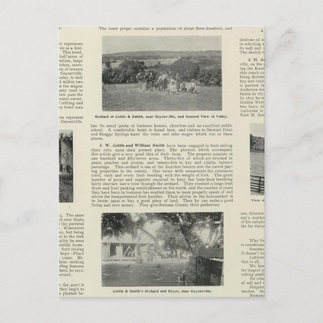 Geyserville, California Postcard (Front)