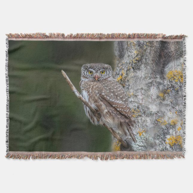 gh throw blanket (Front)