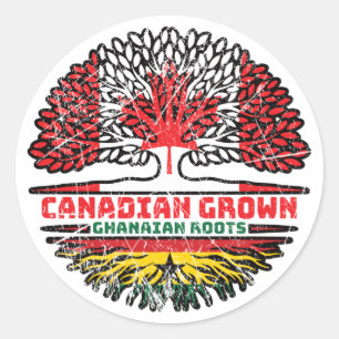 Ghana Ghanaian Canadian Canada Tree Roots Flag Classic Round Sticker