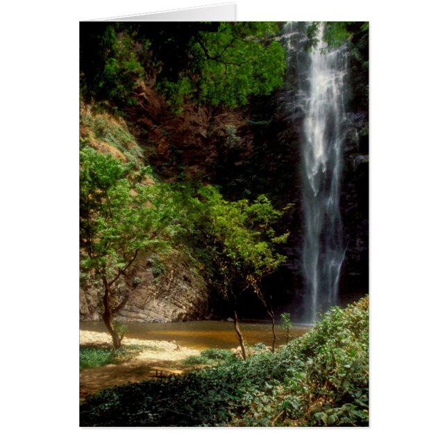 Ghana: Wli Falls, a.k.a. Agumatsa Falls (Volta (Front)