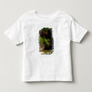 Ghana: Wli Falls, a.k.a. Agumatsa Falls (Volta Toddler T-shirt