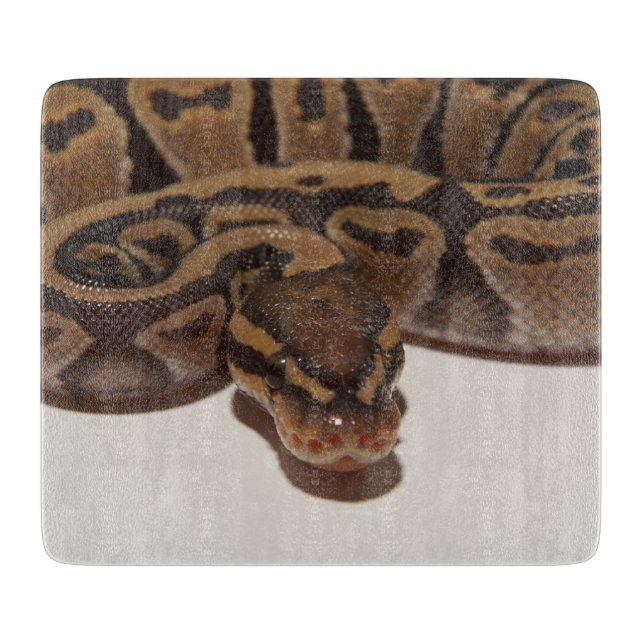 Ghost Ball Python Cutting Board (Front)
