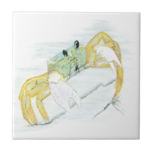 Ghost Crab on Beach Tile