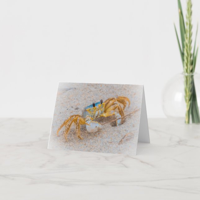 Ghost Crab or Sand Crab Thank You Card (Front)
