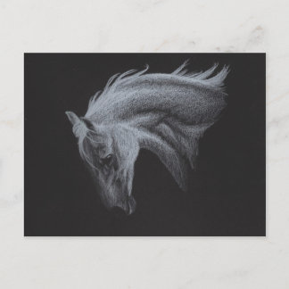 Ghost Horse Collection Postcard
