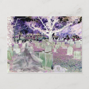 Ghost in the Cemetery Postcard