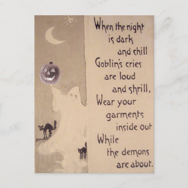 Ghost Jack O Lantern Pumpkin Black Cat Postcard (Front)