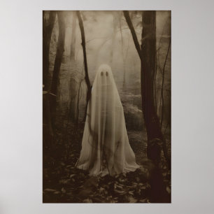 Ghost of the Forest Photography Print Dark