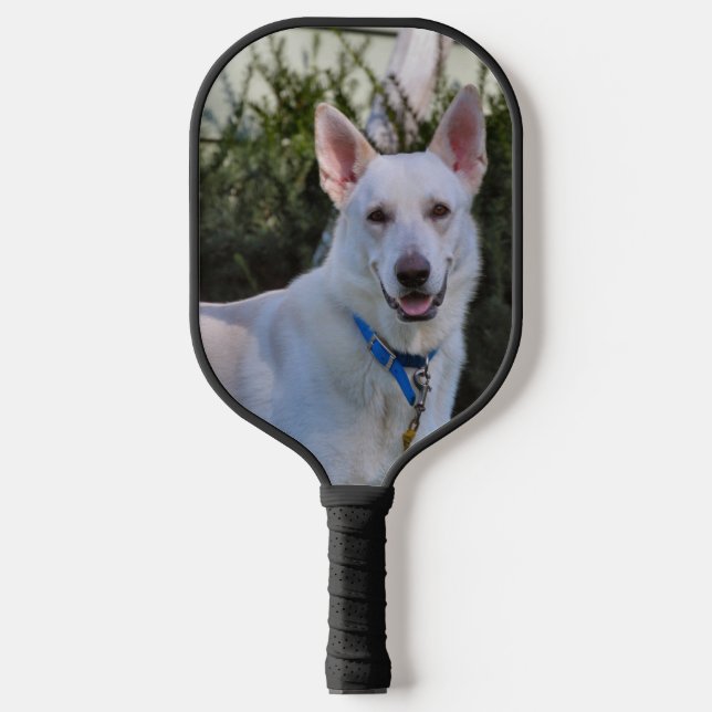 Ghost  pickleball paddle (Front)