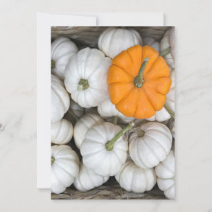 Ghost Pumpkins with a sneaky orange one  Invitation