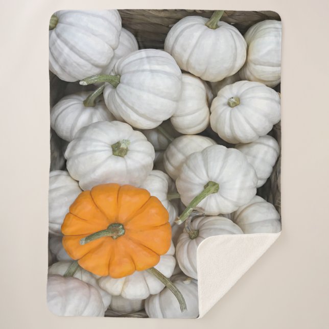 Ghost Pumpkins with a sneaky orange one Sherpa Blanket (Front)