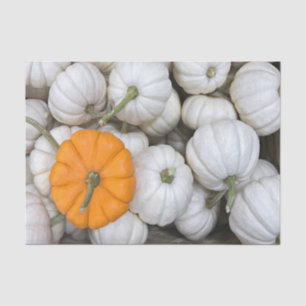 Ghost Pumpkins with a sneaky orange one Tissue Paper
