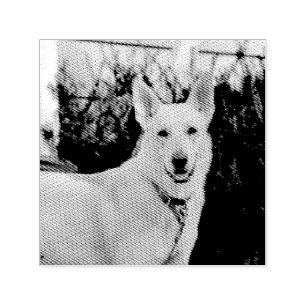 Ghost Self-inking Stamp