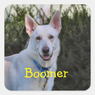 Ghost square sticker