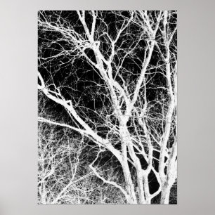 ghost tree poster