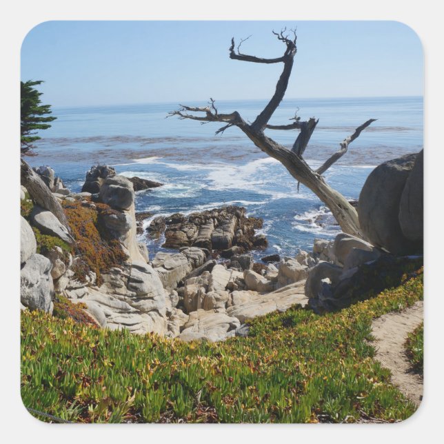 Ghost Tree – Scenic 17 Mile Drive #2 Stickers (Front)