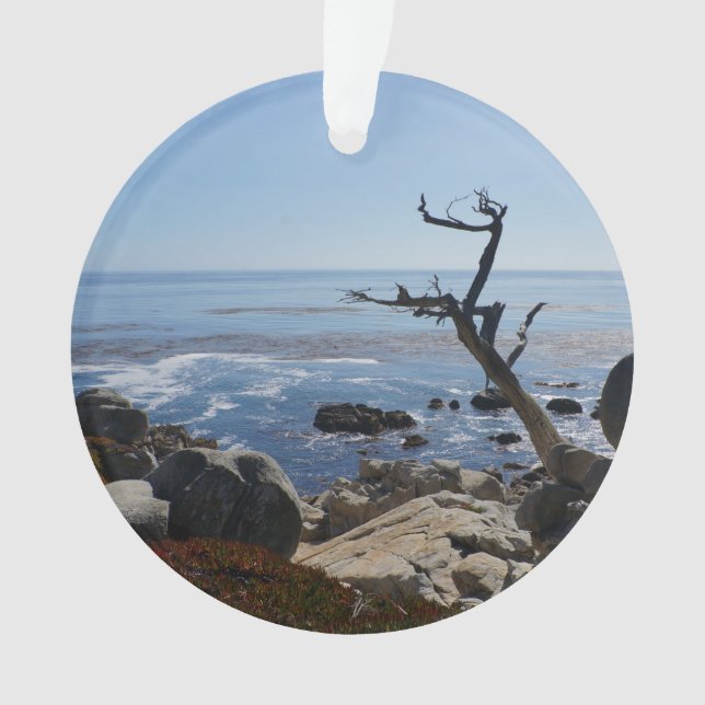Ghost Tree – Scenic 17 Mile Drive Ornament (Front)